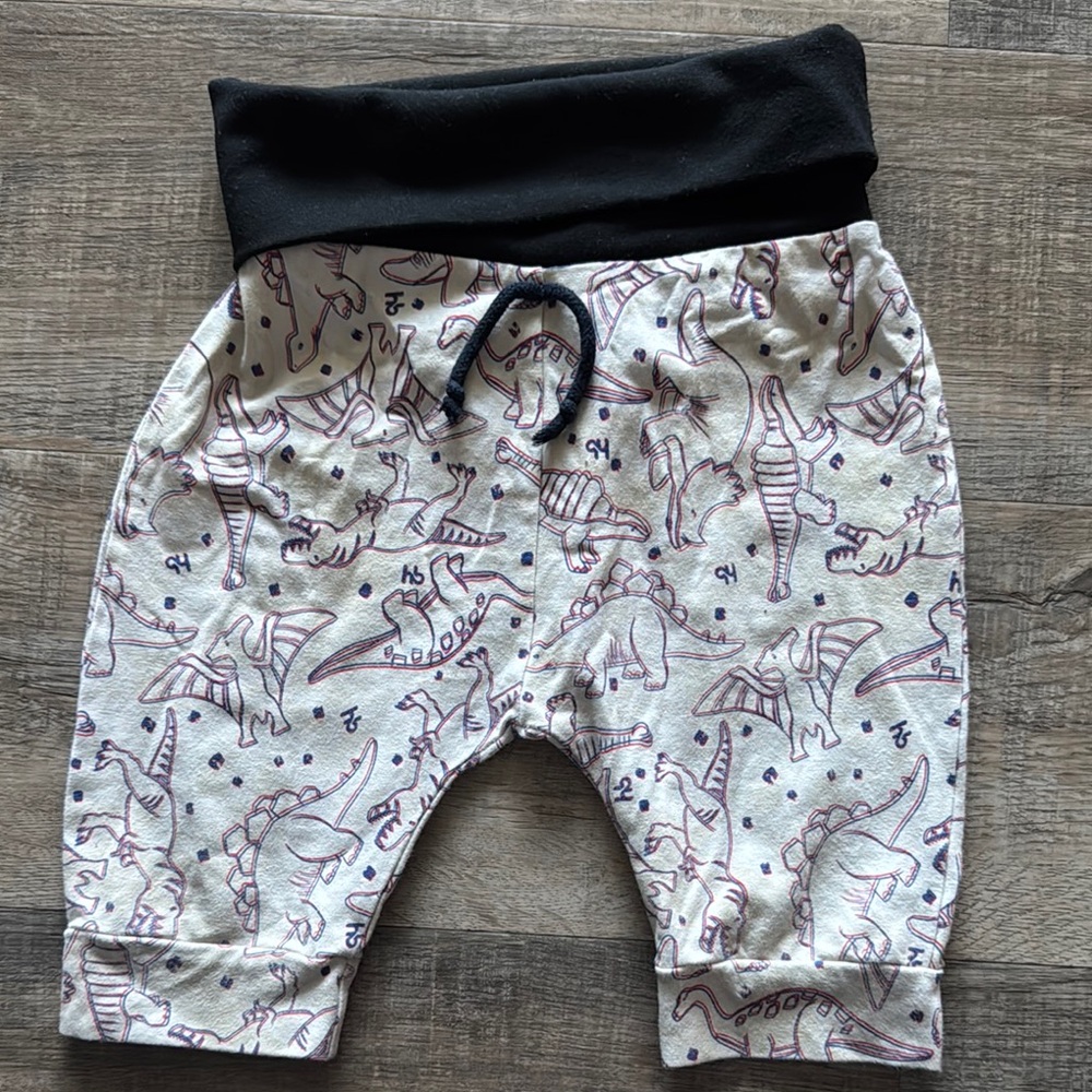 Dinosaur Print Baby Pants with Black Waistband